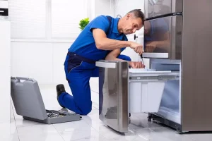 تعمیر یخچال اسنوا